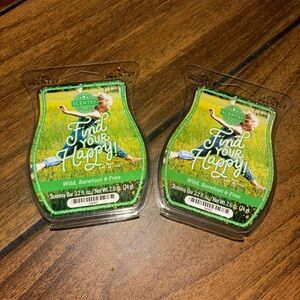 Scentsy Wax Bar Wild, Barefoot & Free Scent Find Happy  Retired ship w ice pack